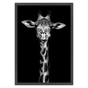 Quadro Tropical Artes 50x70cm Girafa Preto