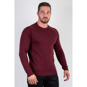 Blusa masculina de malha lisa 50002