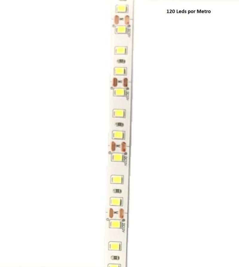 16896225581961