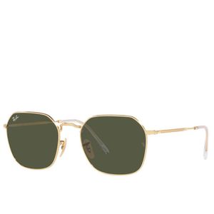 Óculos Solar Ray Ban Jim Irregular RB3694-001/31