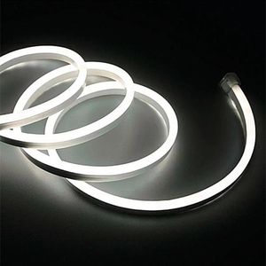 Fita Mangueira Neon 5 Mts Iluminação Flexível Corte 2.5 Cm - Branco Frio