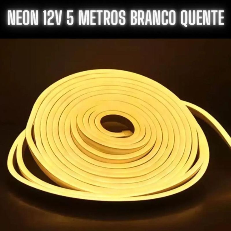 16899663269218