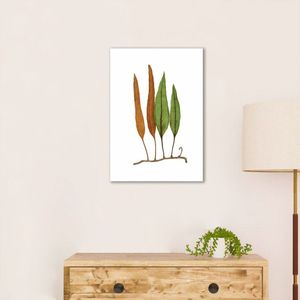 Quadro Botânica Folhas Niphobolus Ingua 60x43 Sem Moldura