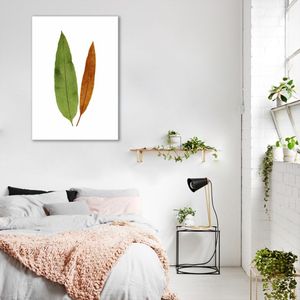Quadro Botânica Acrostichum Brevipes 60x43 Sem Moldura