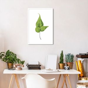 Quadro Botânica Folha Adiantum Wilsoni 43x30 Caixa Branco