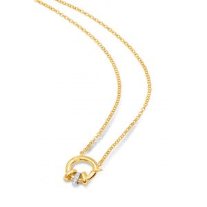 Colar Elos de Prata 925 com banho de Ouro 18k