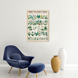 Quadro Vintage Botânica Flores e Plantas 100x70 Filete Marfim