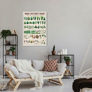 Quadro Vintage Botânica Folhas e Plantas 43x30 Filete Branco