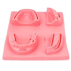 Simulador 3D Dental/Oral Treinamento de Sutura 175X125MM Sg20 Ortho Pauher