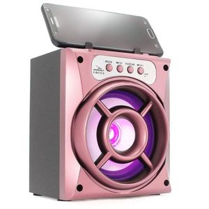 Caixa de Som Portátil Bluetooth Mp3 USB Radio Fm Auxiliar 6W Grasep - Rose