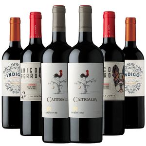 Kit 6 Vinhos Carménère