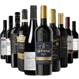 Kit 10 Vinhos Tintos Premium
