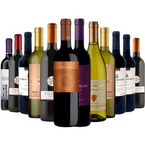 Kit 12 Vinhos Best Sellers Divvino