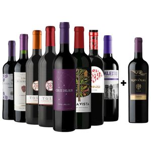 Kit 8 Vinhos Tintos + 1 Carménère Chileno Grátis