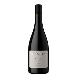 Vinho Argentino La Espera Reserva Carpe Diem Syrah