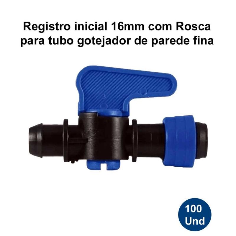 17255781210981