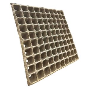 Kit Com 50 Bandejas Biocompostáveis - Vitalizem