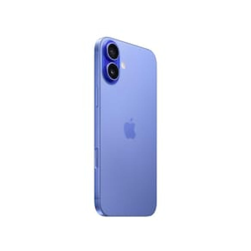 17272069767737