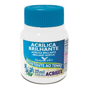 Tinta Acrilica Brilhante 37ml 519 Branca - Acrilex