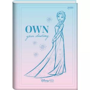 Caderno 1/4 Brochura 80 Fls Disney 100 anos Capa3 - Jandaia
