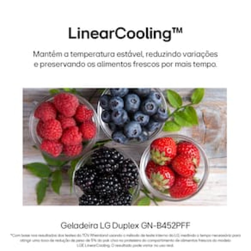 17405041240226