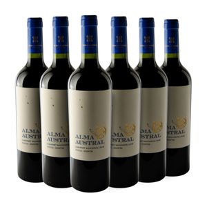 Kit 6 Vinhos Alma Austral Cabernet Sauvignon  Vale do Uco