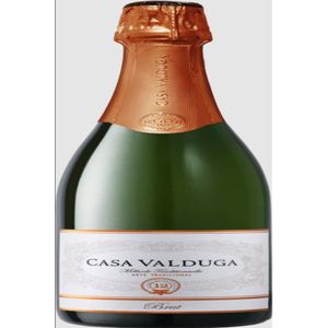 Espumante Casa Valduga Brut Arte