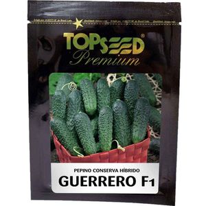 Sementes De Pepino Conserva Híbrido Guerrero F1 Topseed Premium - 1mx