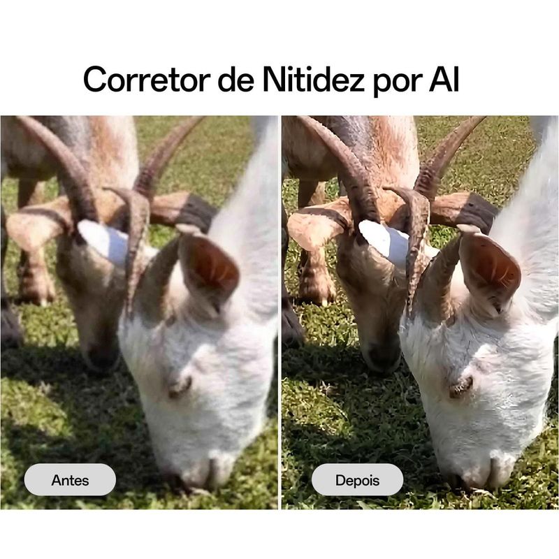 17574482412504